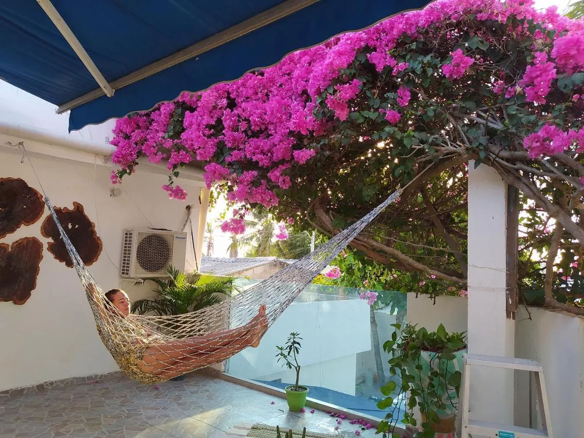 El Chiringuito Hostel Cartagène